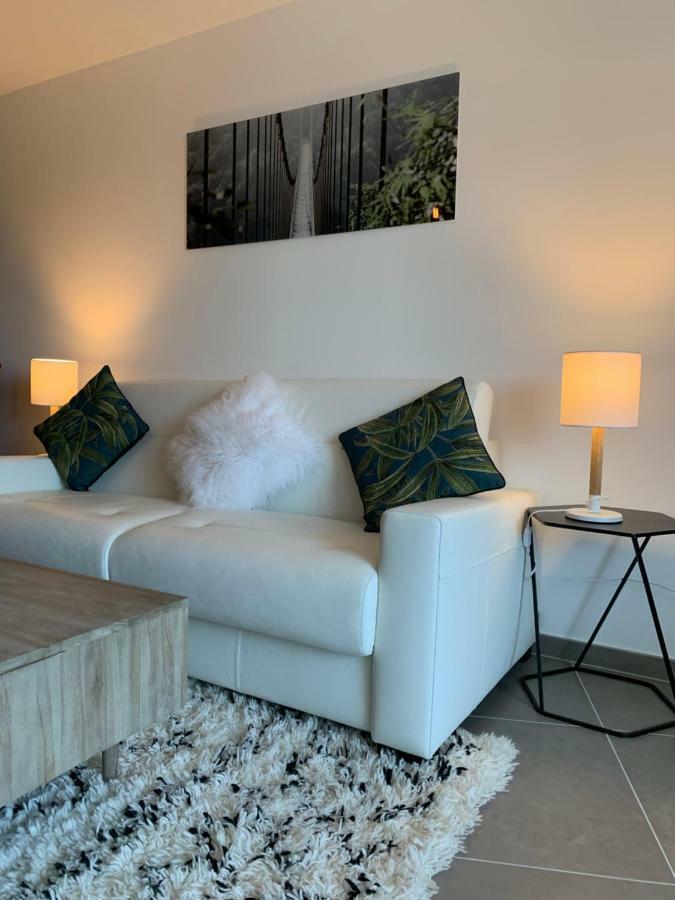 Rayan 4 Etoiles - Proche Lac & Vieille Ville, Garage Prive, Secteur Recherche Annecy Exterior foto